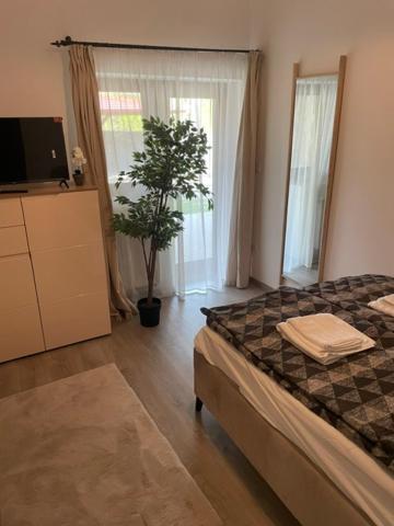 Szoegedi Villa 包道乔尼托毛伊 外观 照片